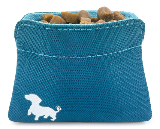 Swaggly Dog Treat Pouch - Treat Pouches For Pet Training - Extra Small - Turquoise